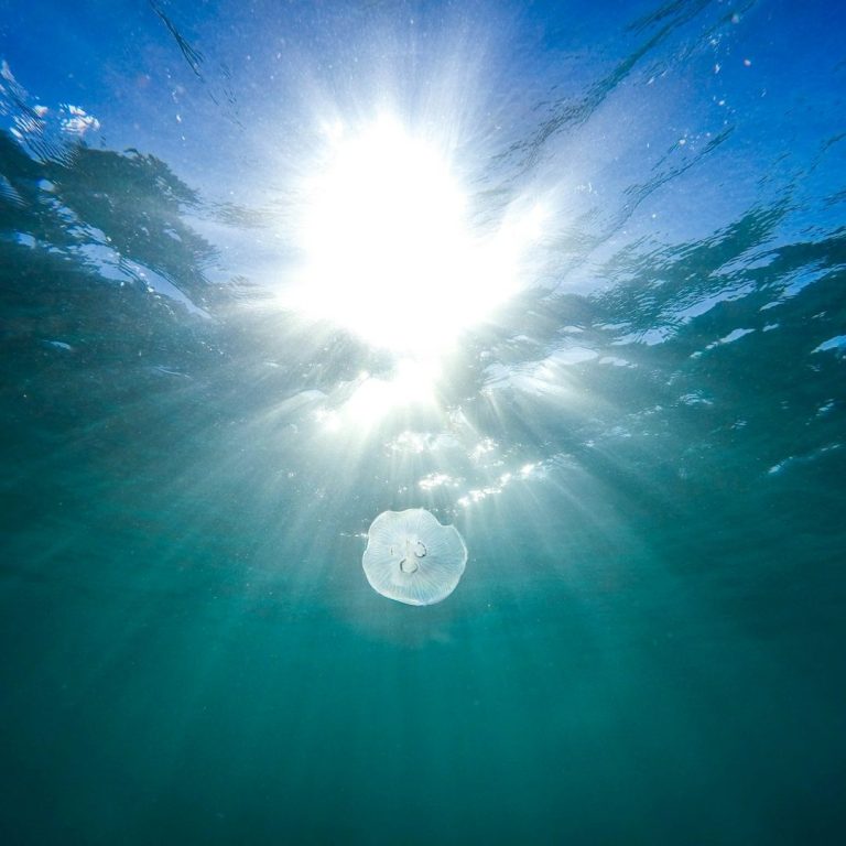 Sunlight through Water Sunlight filtering through water with a jellyfish floating below.